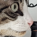 Derekcito