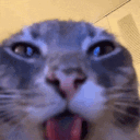 Blinkerton